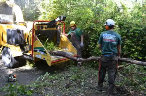 tree services Marmaduke